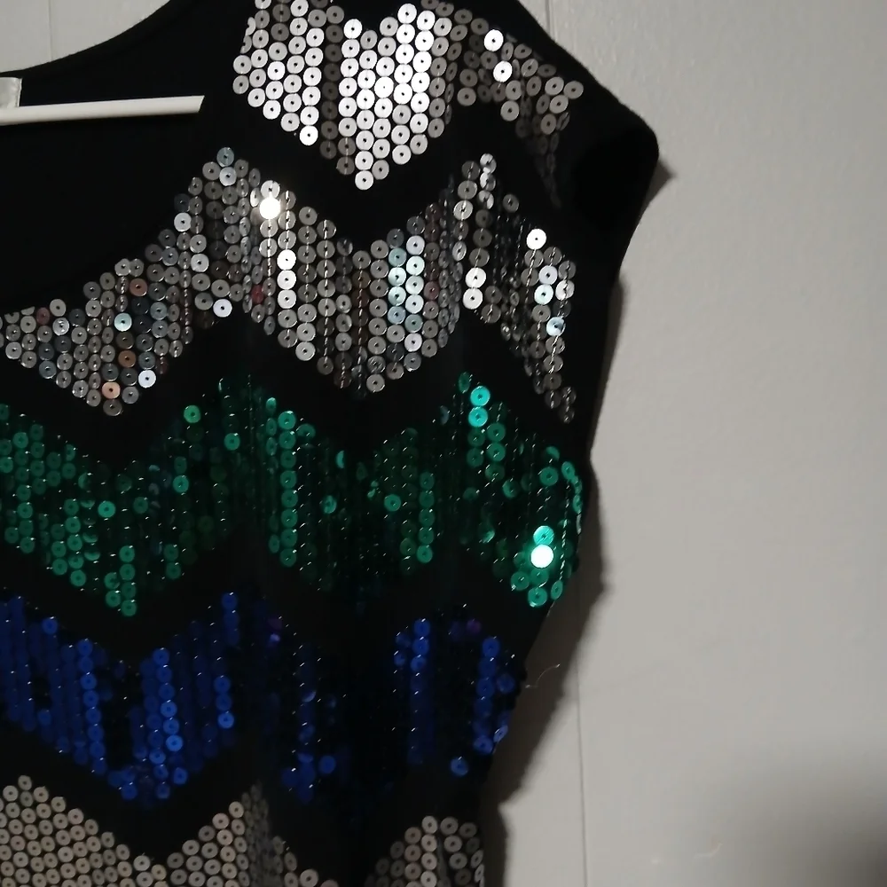 Dressbarn brand women's beautiful sequin Pullover top. Size 1X - Picture 6 of 9